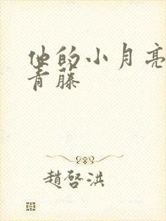 他的小月亮by青藤