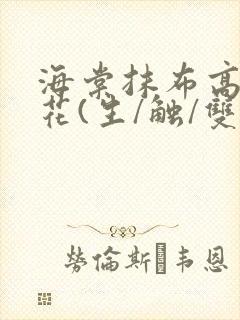 海棠抹布高岭之花(生/触/双)