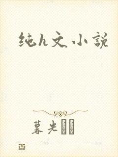 纯h文小说