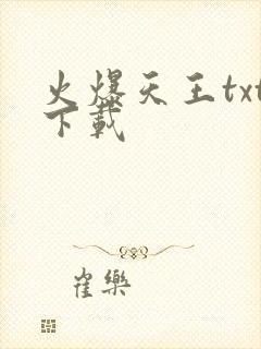 火爆天王txt下载