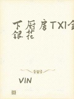 下厨房TXl金银花