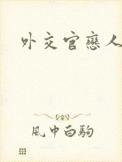 外交官恋人小说