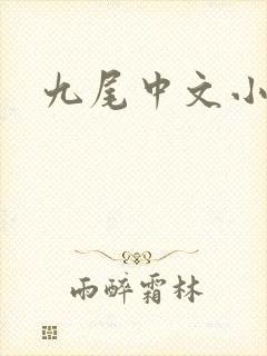 九尾中文小说网