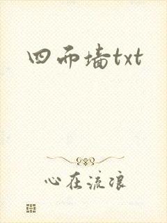四面墙txt