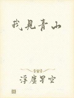 我见青山