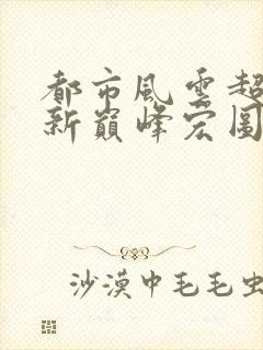 都市风云超前更新巅峰宏图笔趣阁