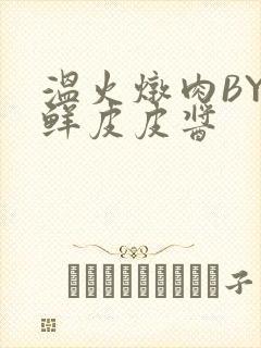 温火炖肉BY海鲜皮皮酱