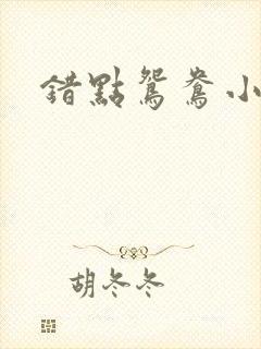 错点鸳鸯小说