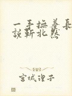 一手抚养长大小说靳北然