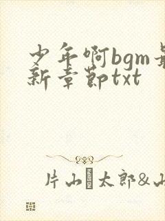 少年啊bgm最新章节txt