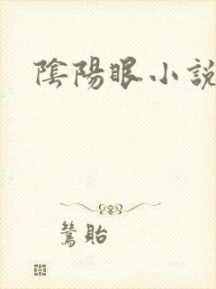 阴阳眼小说