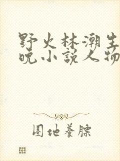 野火林潮生林晚晚小说人物野火