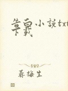 告白小说txt下载