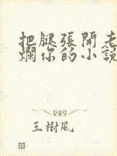 把腿张开老子臊烂你的小说