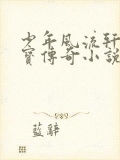 少年风流轩辕大宝传奇小说