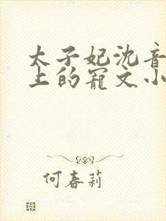 太子妃沈音和皇上的宠文小说