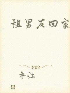 租男友回家过年