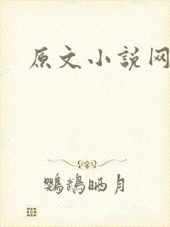 原文小说网