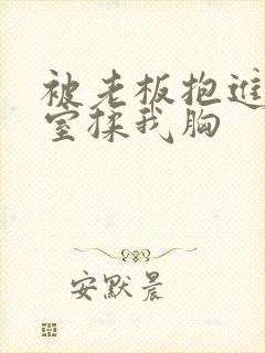 被老板抱进办公室揉我胸