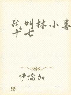 我叫林小喜今年十七