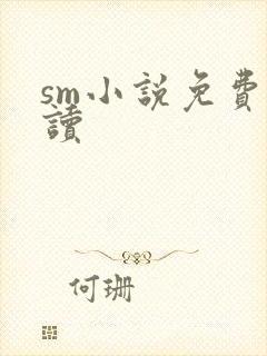 sm小说免费阅读