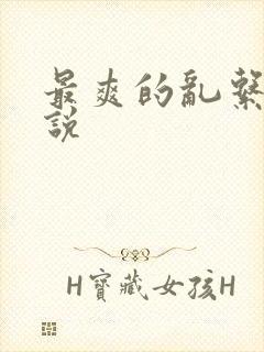 最爽的乱系列小说