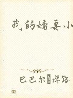 我的娇妻小说