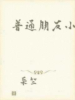 普通朋友小说