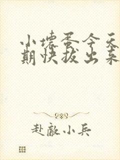 小坏蛋今天危险期快拔出来