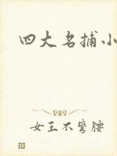 四大名捕小说