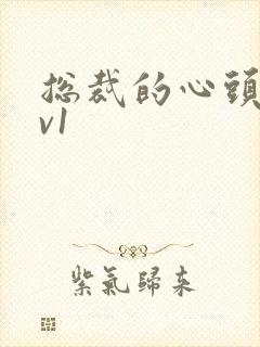 总裁的心头宝1v1