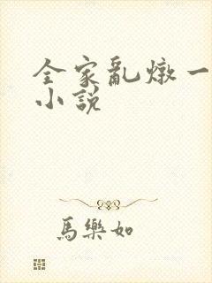 全家乱炖一锅烩小说