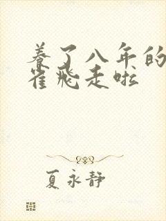 养了八年的金丝雀飞走啦