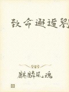 致命邂逅刘小寐