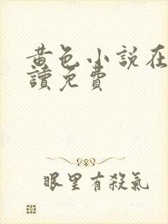 黄色小说在线阅读免费