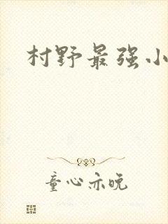村野最强小农民