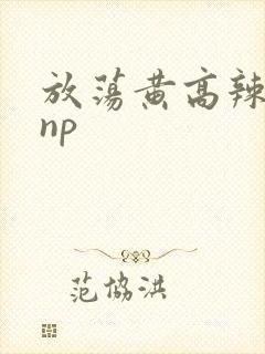 放荡黄高辣h文np
