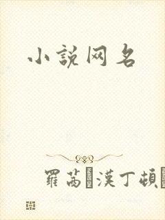 小说网名