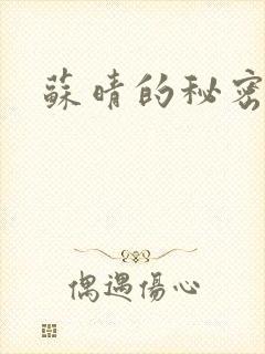 苏晴的秘密小说