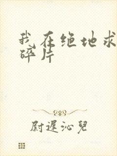 我在绝地求生捡碎片