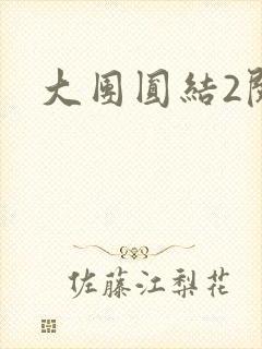 大团圆结2阅读