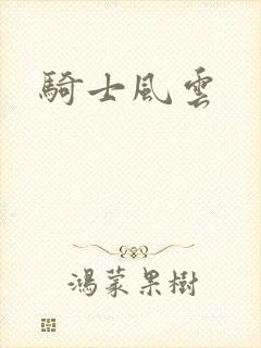 骑士风云