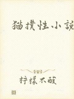 猫扑性小说