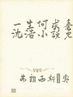 一生何求秦菲雪沈浩小说免费阅读全文