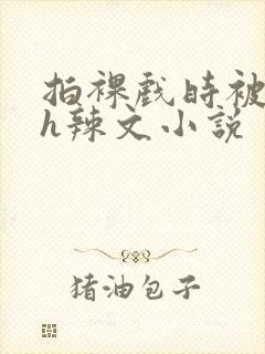 拍裸戏时被c了h辣文小说