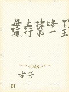 母上攻略 竹影随行第一主板