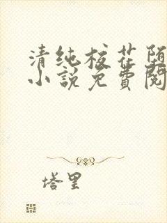 清纯校花堕落记小说免费阅读