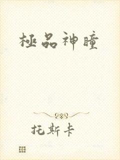 极品神瞳