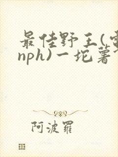 最佳野王(电竞nph)一坨薯饼