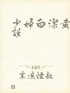 少妇白洁黄色小说